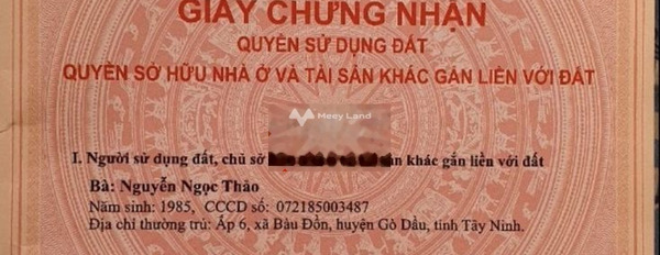 Bán mảnh đất, giá cực sốc chỉ 300 triệu, hướng Đông có diện tích 244m2-02