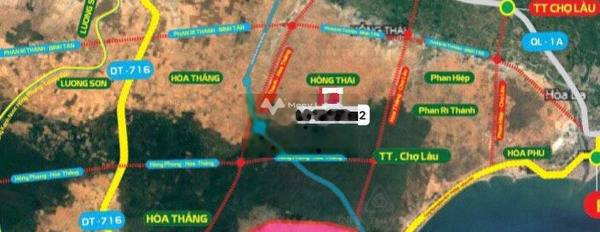 980 triệu bán đất với diện tích tiêu chuẩn 15000m2 vị trí đẹp Bắc Bình, Bình Thuận-02