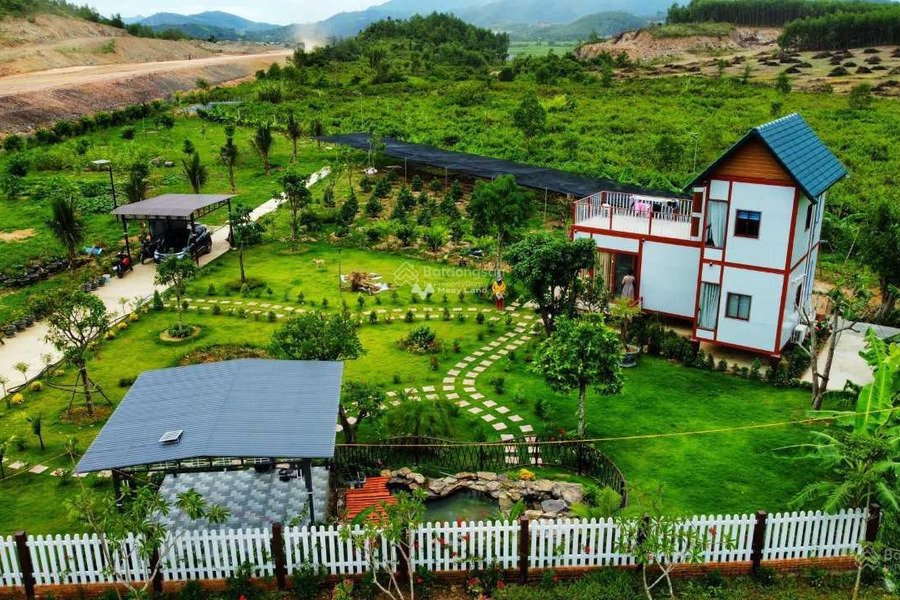 Giảm giá mạnh, chủ cần ra đi nhanh farm đẹp 4.887m2 Diên Đồng giao thông đông đúc-01