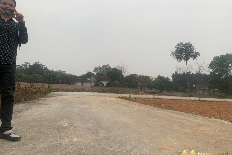 Bán đất đón đầu khu công nghiệp Tam Dương, Vĩnh Phúc-01