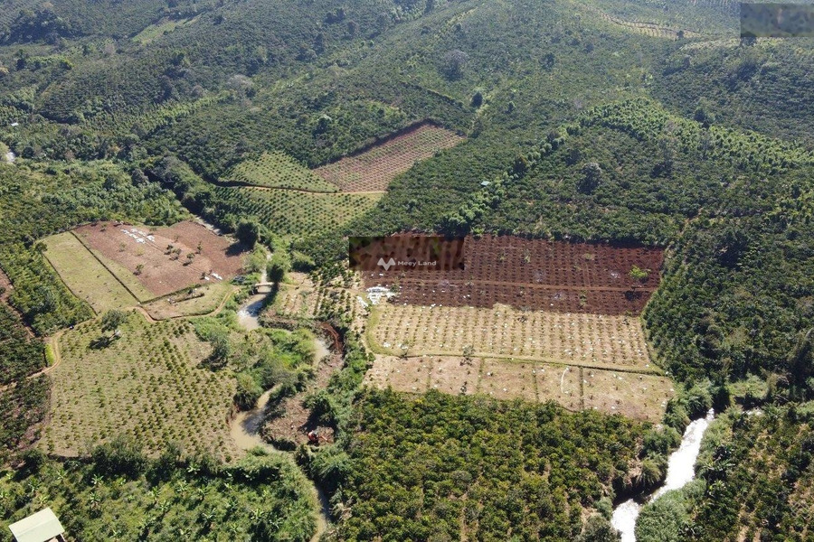 Liên Đầm, Lâm Đồng bán đất giá khởi đầu chỉ 490 triệu diện tích rộng là 1400m2-01