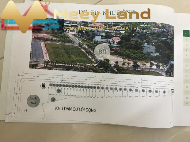 Bán đất diện tích 105m2 Quốc Lộ 37, Chí Linh, giá 1,2 tỷ-01