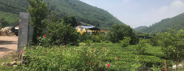 5700m đất làm trang trại, nhà vườn sẵn nhà tại Tân Cương, Thái Nguyên-03
