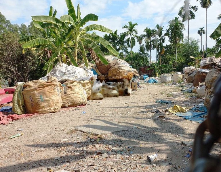 Tại Tam Bình, Hồ Chí Minh cho thuê đất, thuê ngay với giá thương mại 4 triệu/tháng, hướng Đông Nam diện tích thực khoảng 800m2-01