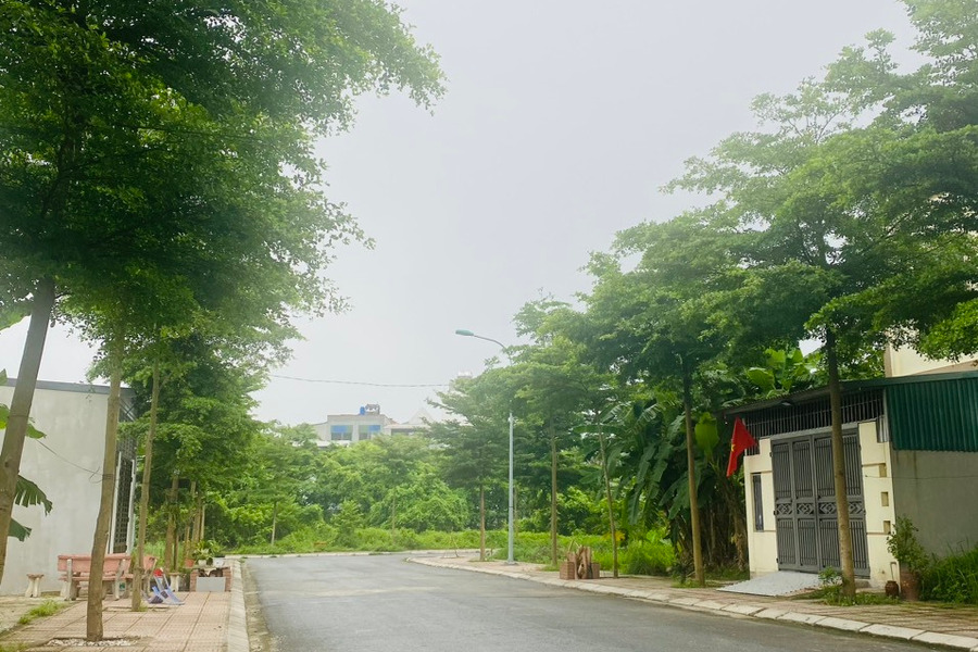 Bán đất khu xen ghép Mậu Lâm, Khai Quang, Vĩnh Yên, Vĩnh Phúc-01