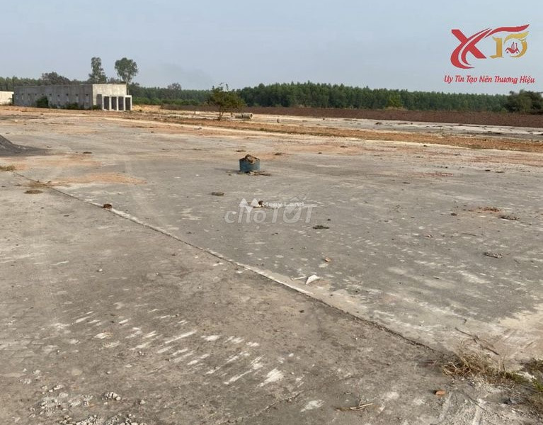 30.33 tỷ bán đất với diện tích thực 22468m2 vị trí đặt tọa lạc ngay ở Phước Tân, Đồng Nai-01