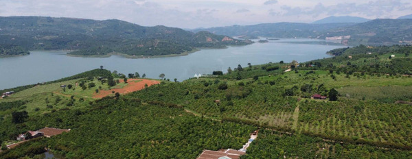 1.05 tỷ bán đất có một diện tích 1000m2 vị trí hấp dẫn nằm ở Lâm Hà, Lâm Đồng-02