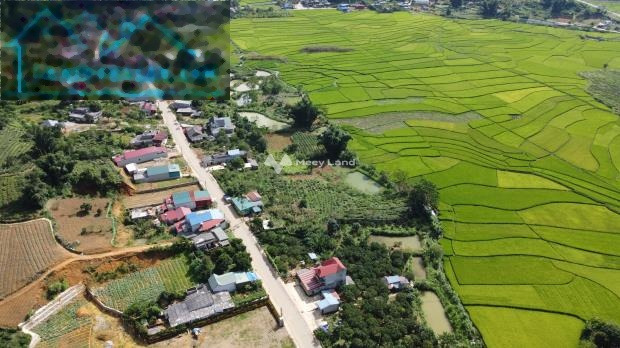 Giá cực rẻ 2.4 tỷ bán đất diện tích rất rộng 500m2 vị trí đặt nằm trên Mộc Châu, Sơn La-01