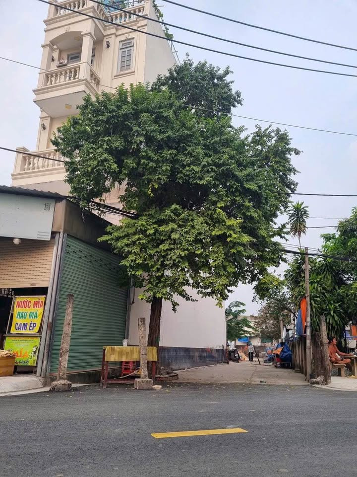 Bán nhà riêng huyện Bình Chánh thành phố Hồ Chí Minh giá 4.3 tỷ-0