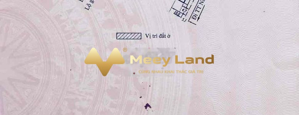 Bán đất 1100m2 vị trí mặt tiền tọa lạc ngay ở Điện Biên Phủ, Lâm Đồng giá tốt-02
