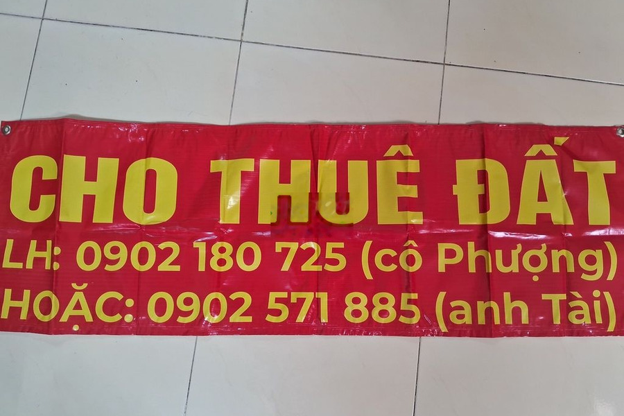 Cho thuê đất mặt tiền đường Giồng Lớn -01