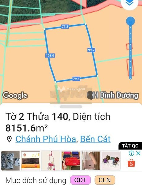 Ngay Chánh Phú Hòa, Bến Cát bán đất 8 tỷ, hướng Tây diện tích cụ thể 1200m2-01