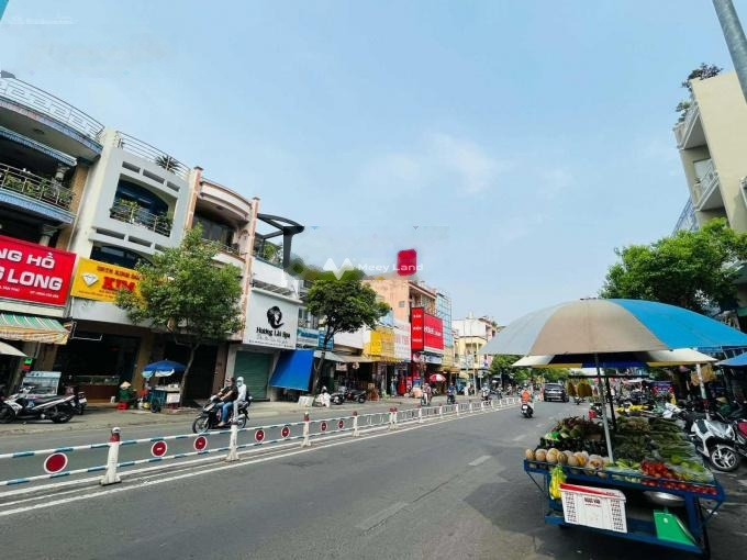 Bán nhà ở diện tích chuẩn 308.8m2 bán ngay với giá tốt 47 tỷ mặt tiền nằm ngay trên Nguyễn Sơn, Phú Thọ Hòa-01