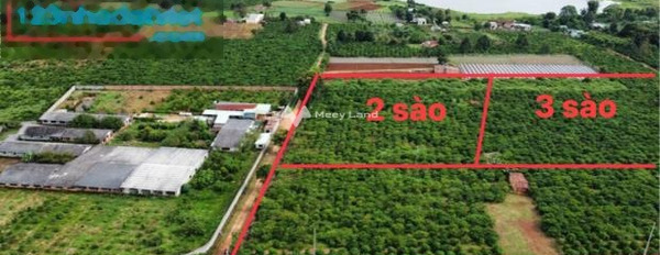 Ngay Pleiku, Gia Lai bán đất 2.5 tỷ, hướng Bắc diện tích mặt tiền 3000m2-03