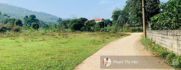 Bán mảnh đất diện tích 2736m2 tại Cao Sơn, Lương Sơn-02