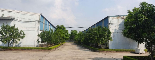 Chuyển nhượng nhà máy Phố Nối, Hưng Yên, mặt đường Quốc lộ 5, cách Hà Nội 30km-03
