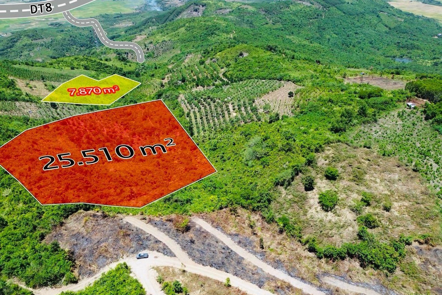 25.000m2 đất Diên Lâm, Diên Khánh giá chỉ 300 triệu đồng sổ hồng riêng -01