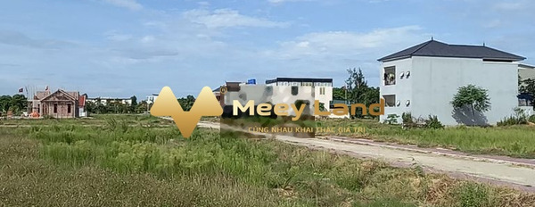 Tại Quỳnh Dị, Nghệ An, bán đất 450 triệu, 144 m2-02