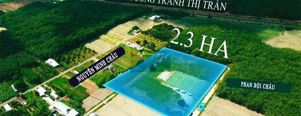 Nguyễn Minh Châu, Tân Châu bán đất giá mua liền 650 triệu diện tích là 250m2-03