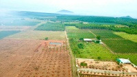 Trong Tiến Thành, Phan Thiết bán đất giá ngạc nhiên chỉ 38 tỷ diện tích rộng rãi 1580m2-01