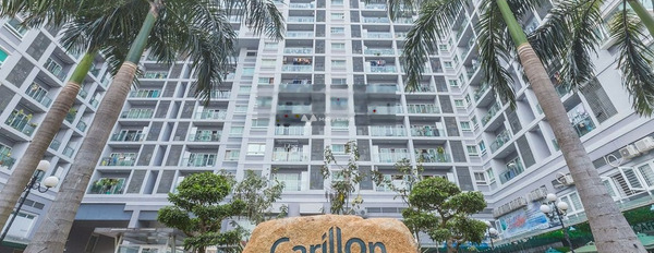 Khoảng 3 tỷ bán căn hộ diện tích tiêu chuẩn 50m2 vị trí đặt ngay trên Tân Bình, Hồ Chí Minh-02
