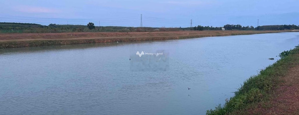 Đang làm ăn lớn cho thuê đất Chà Là, Dương Minh Châu thuê ngay với giá tốt bất ngờ 8 triệu/tháng với diện tích 7500m2-02