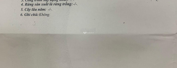 Nằm ngay Cửu Long, Phước Hòa, cho thuê nhà, thuê ngay với giá hấp dẫn chỉ 25 triệu/tháng diện tích chung là 68m2 khu vực dân cư-02