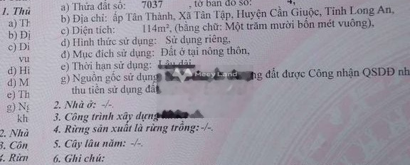 Tân Tập, Long An 850 triệu bán đất diện tích cụ thể 114m2-02