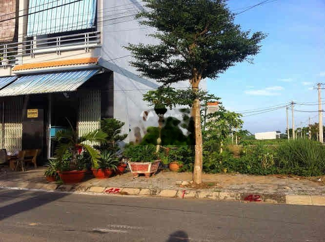 Long Định, Cần Đước 900 triệu bán đất có một diện tích sàn 100m2-01