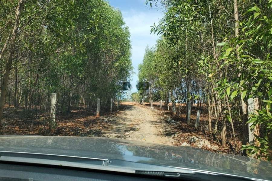 Hòa Thắng, Bình Thuận bán đất giá bán mua liền từ 450 triệu có diện tích tổng 4743m2-01
