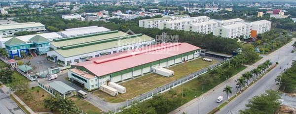 Bán mảnh đất, giá bất ngờ chỉ 290 triệu có một diện tích 220m2-02