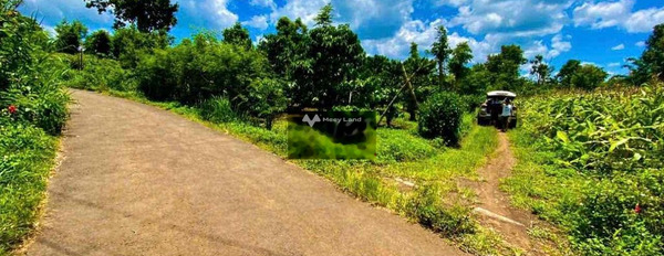 Khoảng 149 triệu bán đất có diện tích thực là 2000m2 nằm trên Bình Thuận, Đắk Lắk-03