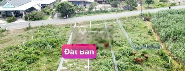 Bên trong An Cơ, Châu Thành bán đất giá quy định chỉ 200 triệu với diện tích khoảng 260m2-03