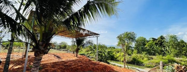 Giá bán đặc biệt chỉ 670 triệu bán đất diện tích là 900m2 vị trí mặt tiền ngay Ma Lâm, Bình Thuận, hướng Nam-02