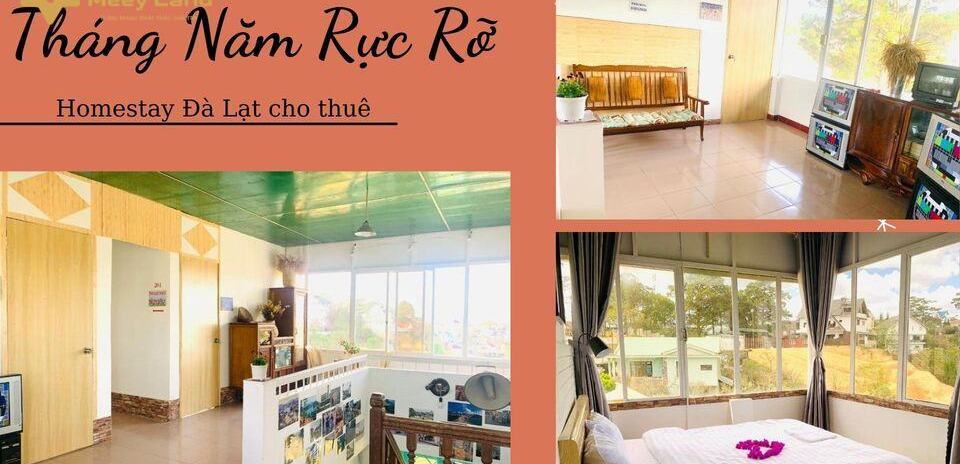 Cho thuê Tháng Năm Rực Rỡ – Đà Lạt Homestay