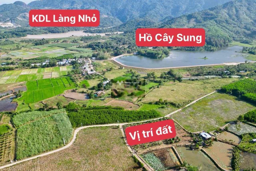 Cây Sung, Diên Tân bán đất giá mua liền từ 395 triệu diện tích tầm trung 500m2-01