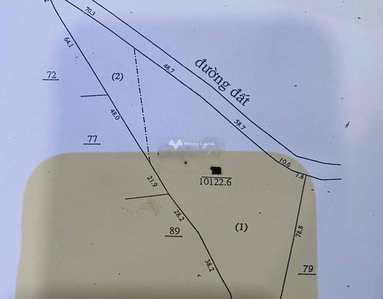 Giá siêu khủng chỉ 2.5 tỷ, Bán đất diện tích là 10000m2 vị trí tại Bảo Lâm, Lâm Đồng vui lòng liên hệ để xem trực tiếp-01