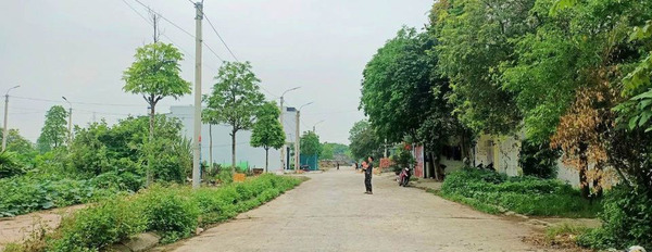 Bán đất huyện Quan Hóa diện tích 73,15m2-03