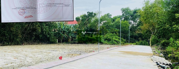 Cắt lỗ bán đất Quảng Lợi, Thừa Thiên Huế giá cực êm 265 triệu diện tích mặt tiền 104m2-03