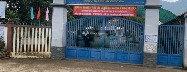 Bán đất diện tích 371m2 tại Xuân Lộc, Đồng Nai-02