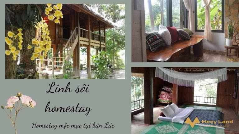 Homestay gần Hà Nội phong cách nhà sàn ở Hòa Bình