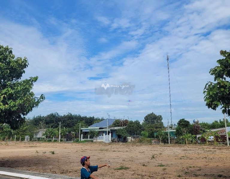 Cần bán mảnh đất tại Phùng Hưng, Tam Phước. Diện tích 100m2-01