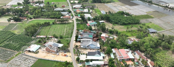 Giá bán khủng 350 triệu bán đất diện tích tổng là 175m2 vị trí ở Tiên Thuận, Tây Ninh-03
