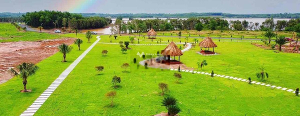 Đầu tư bất động sản bán mảnh đất, 1000m2 giá bán gốc 300 triệu vị trí tiềm năng Lộc Quang, Bình Phước tin chính chủ-03