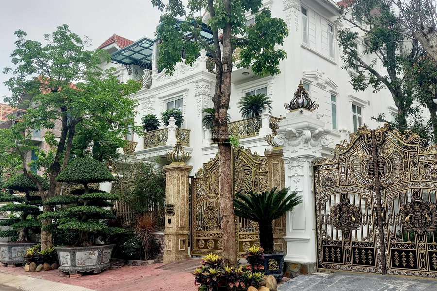 Diện tích 230m2, bán biệt thự vị trí đặt tại trung tâm Kiến Hưng, Hà Nội, trong căn nhà này có 5 PN, 5 WC phong thủy tốt-01