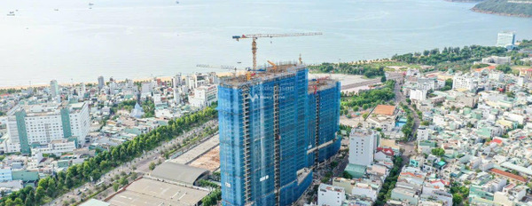 Bán chung cư giá 2,64 tỷ tại Lê Duẩn, Bình Định-02