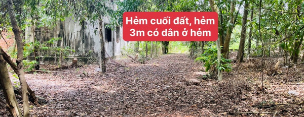 Bán 264m2 đất Phước Hội ngay đường ven biển Hồ Tràm-02