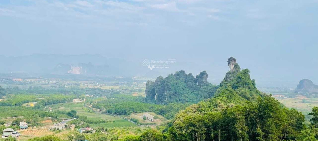 Chính chủ cần bán hơn 9000 met full thổ cư + vườn giá rẻ tại Cao Phong - Hòa Bình giá tốt nhất