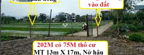 Bán đất 1.29 tỷ Tốt Động, Hà Nội có diện tích trung bình 202m2, với lộ chính 4 m-02
