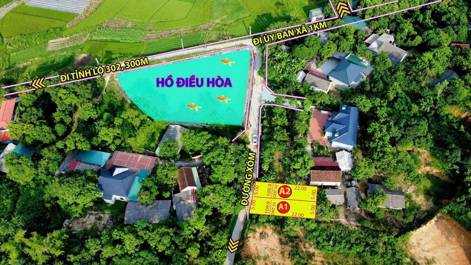 Bán nhà riêng huyện Tam Đảo tỉnh Vĩnh Phúc giá 100.0 triệu-0